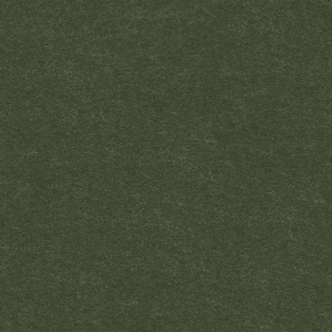 Sample felt texture for the color forest moss