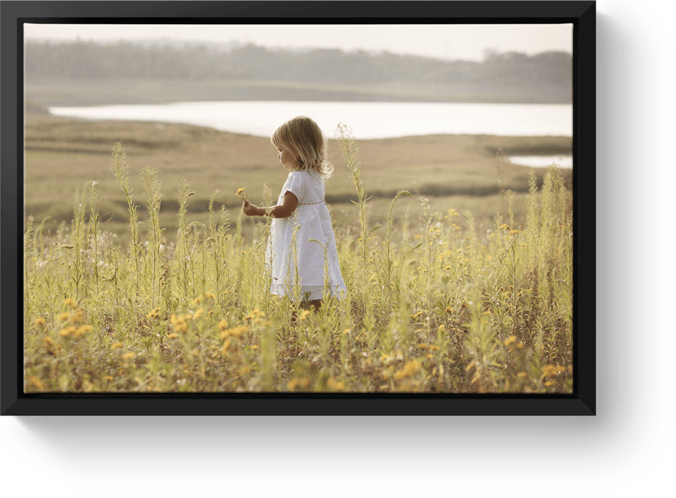 Canvas print black floating frame