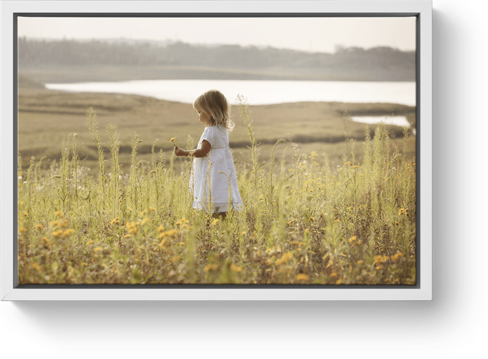 Canvas print white floating frame